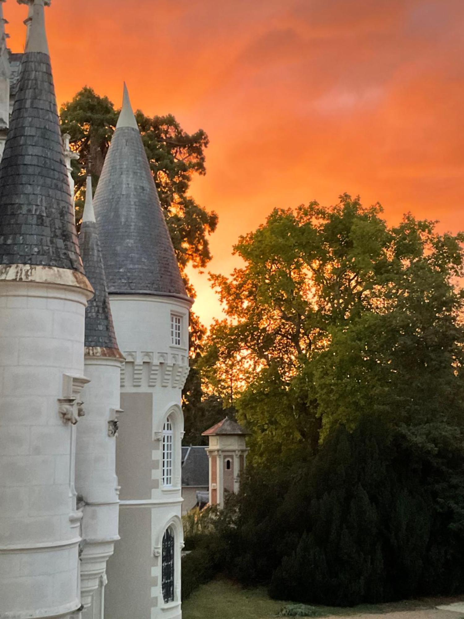 Chateau De Beauvais Azay-sur-Cher Экстерьер фото